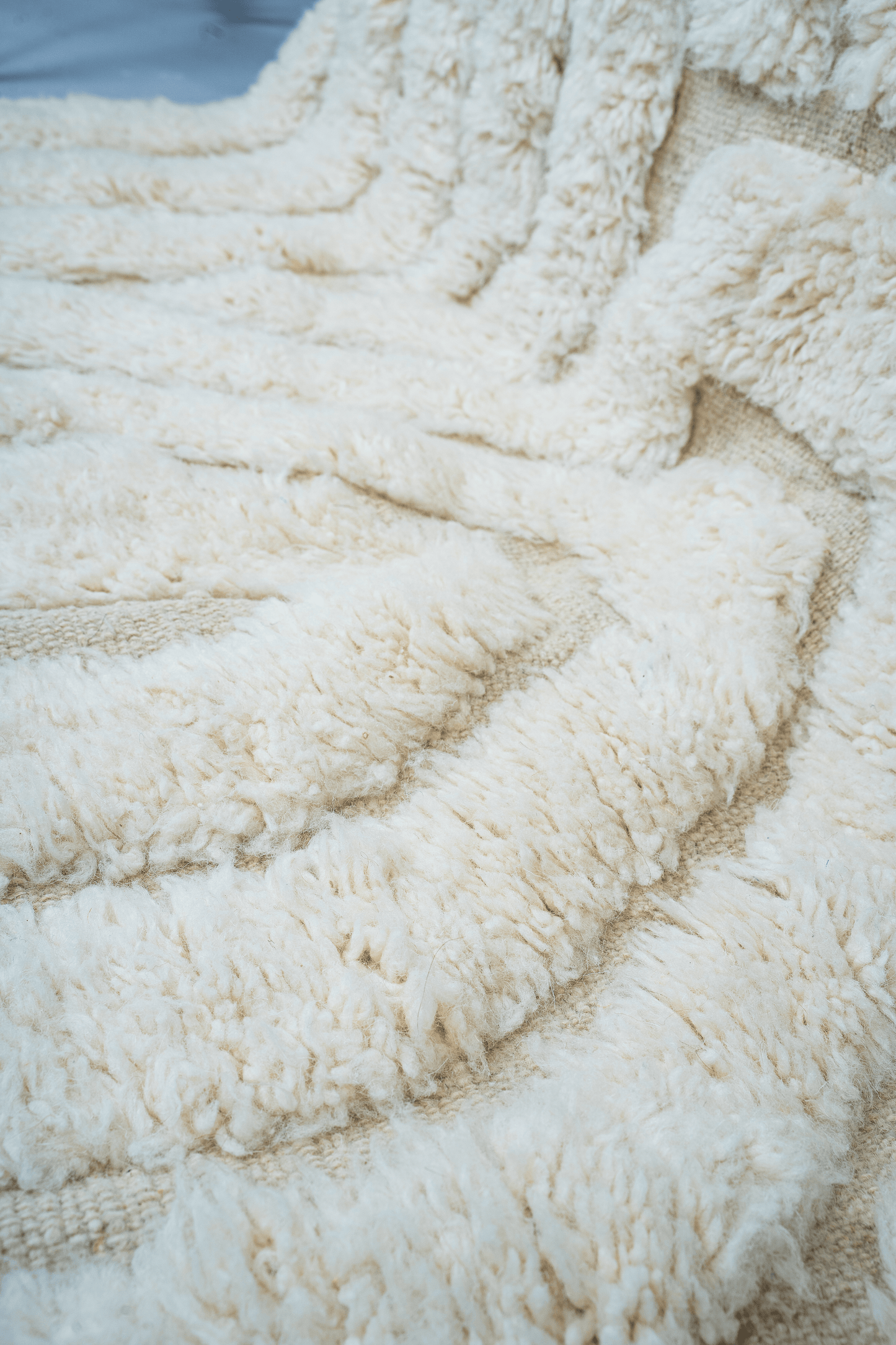 Tapis Zafira - 260 x 156 cm