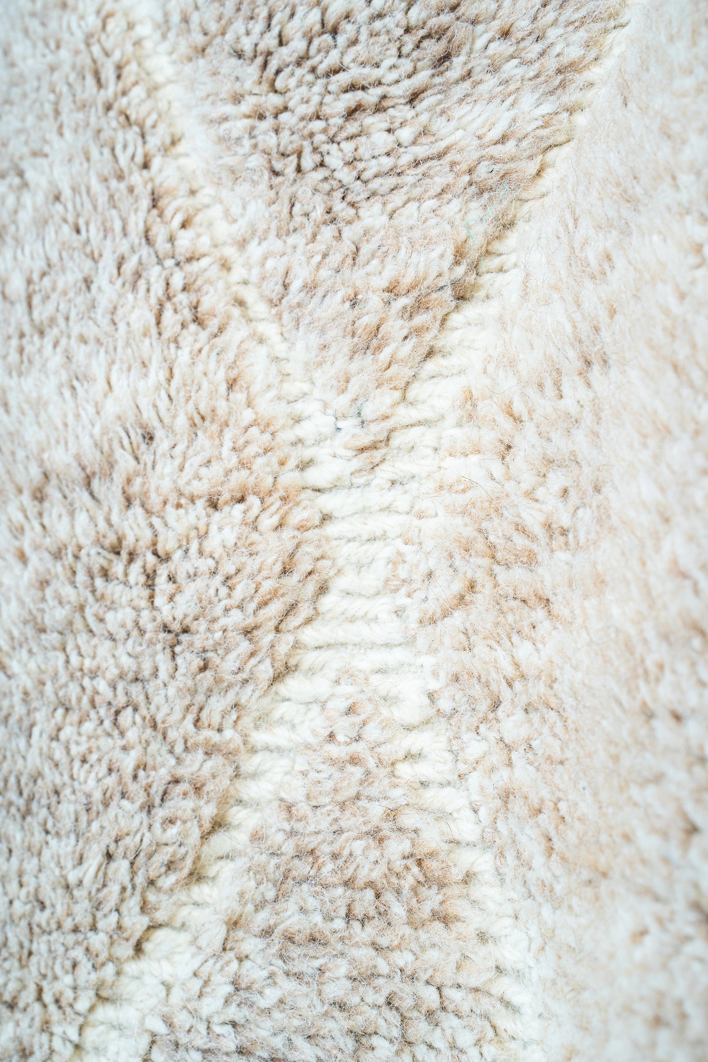 Tapis Esmée - 286 x 183 cm